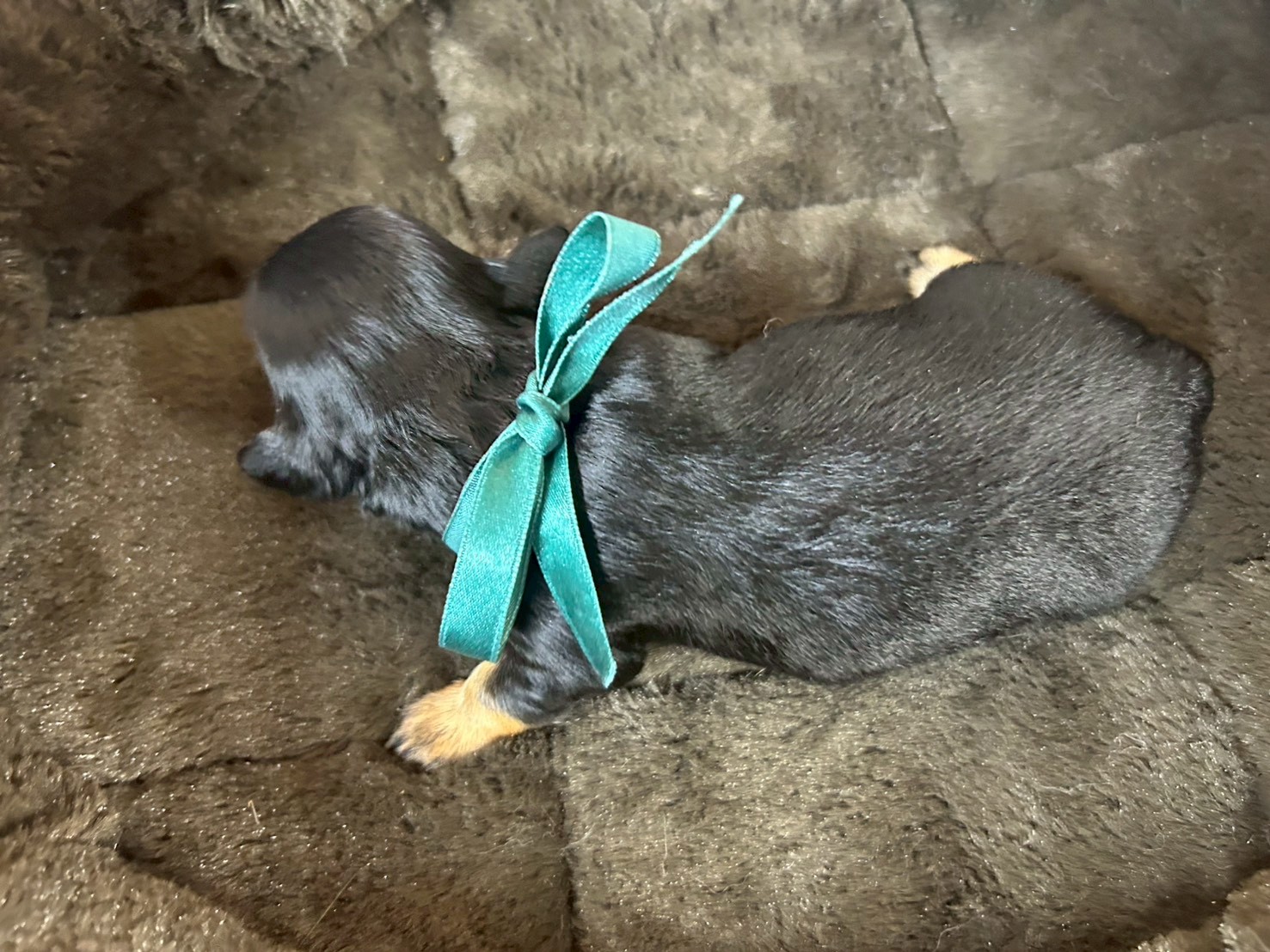 赤ちゃん写真1-3