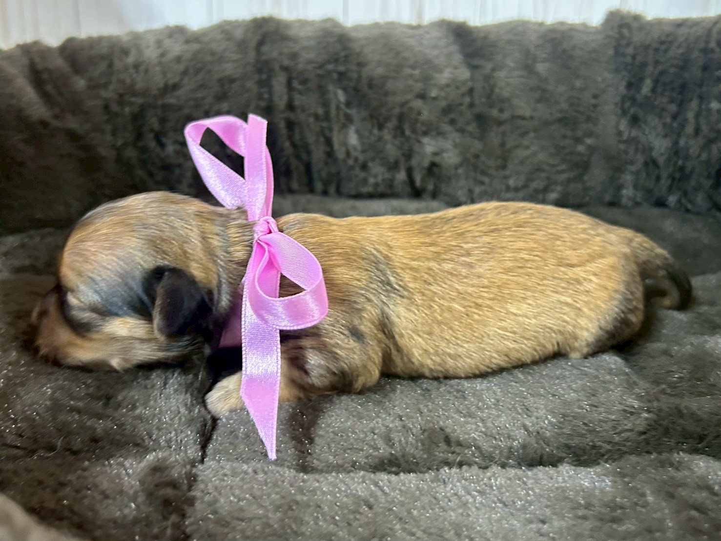 赤ちゃん写真1-2