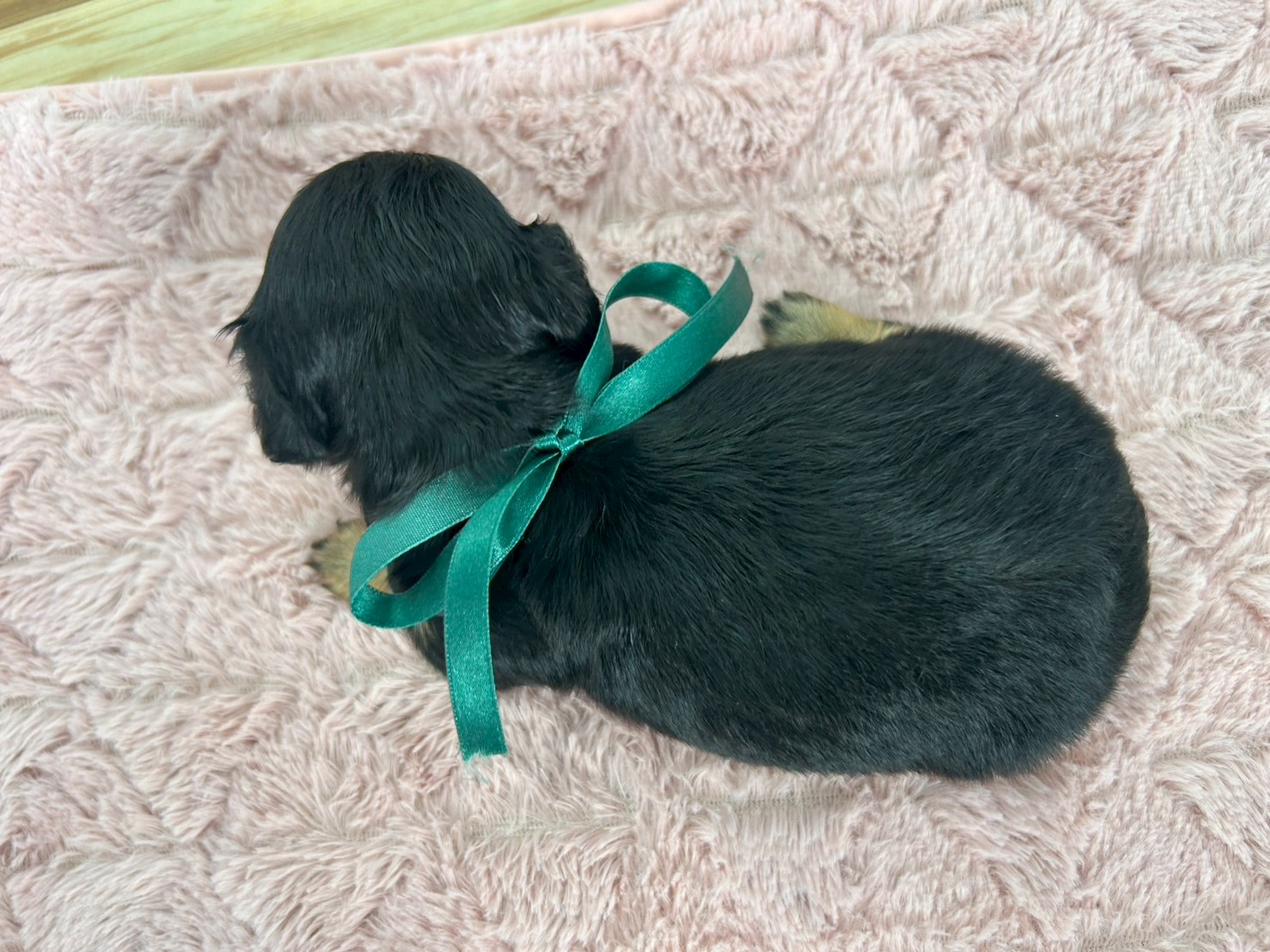 赤ちゃん写真2-3