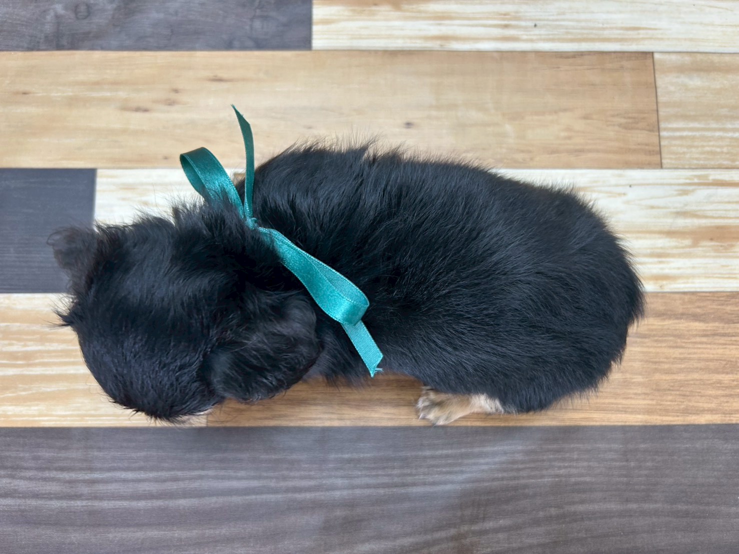 赤ちゃん写真3-3
