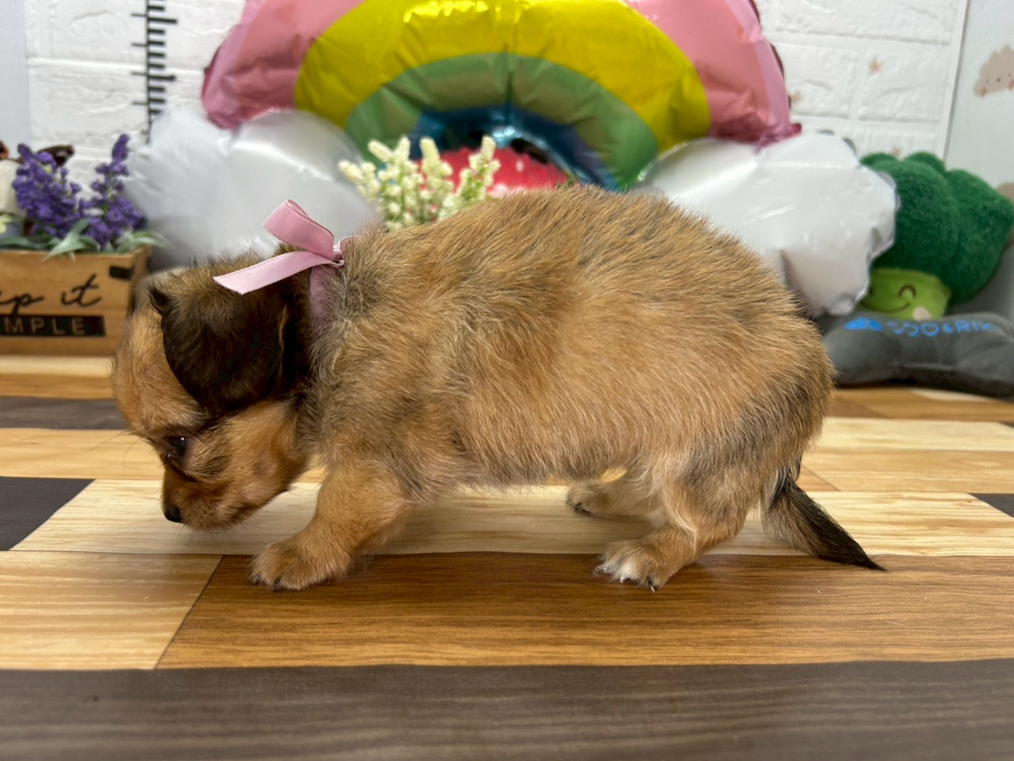 赤ちゃん写真3-2