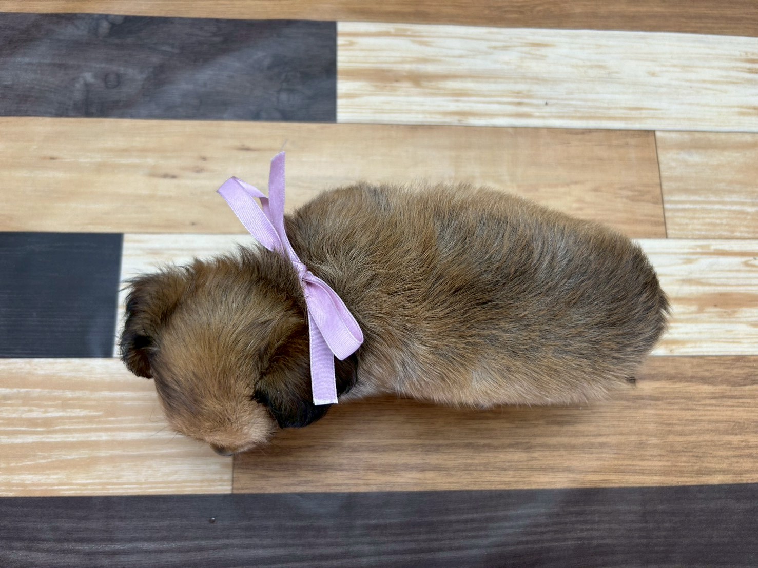 赤ちゃん写真3-3