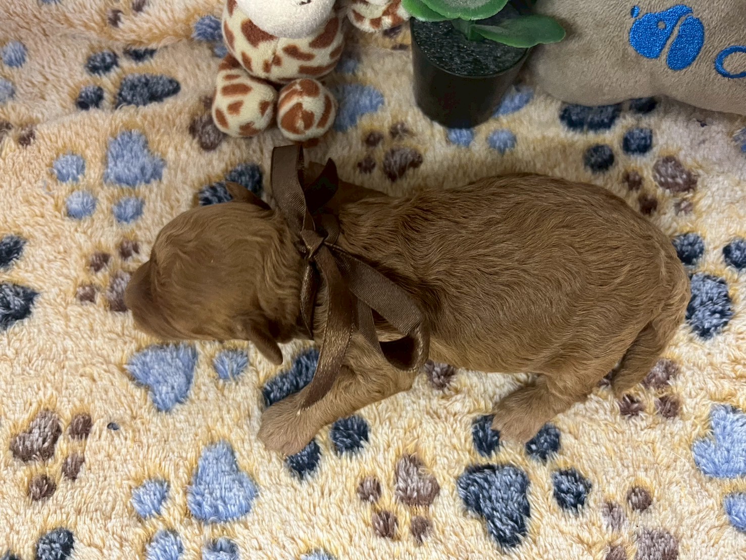 赤ちゃん写真1-3