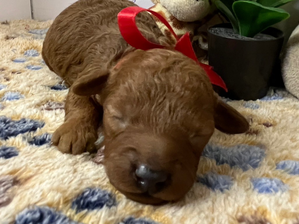 赤ちゃん写真1-1