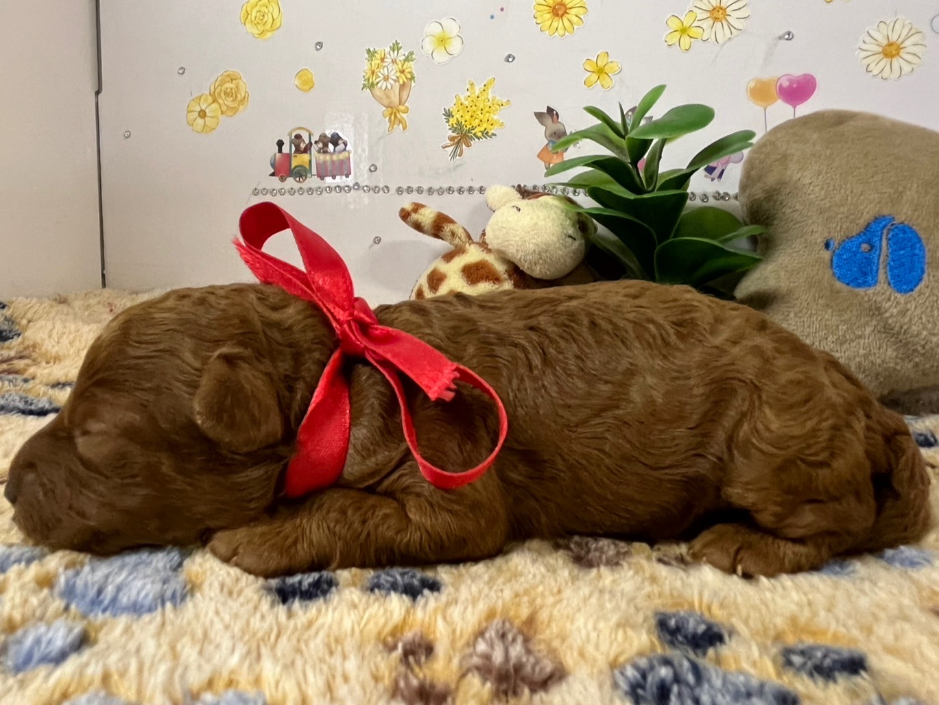 赤ちゃん写真1-2