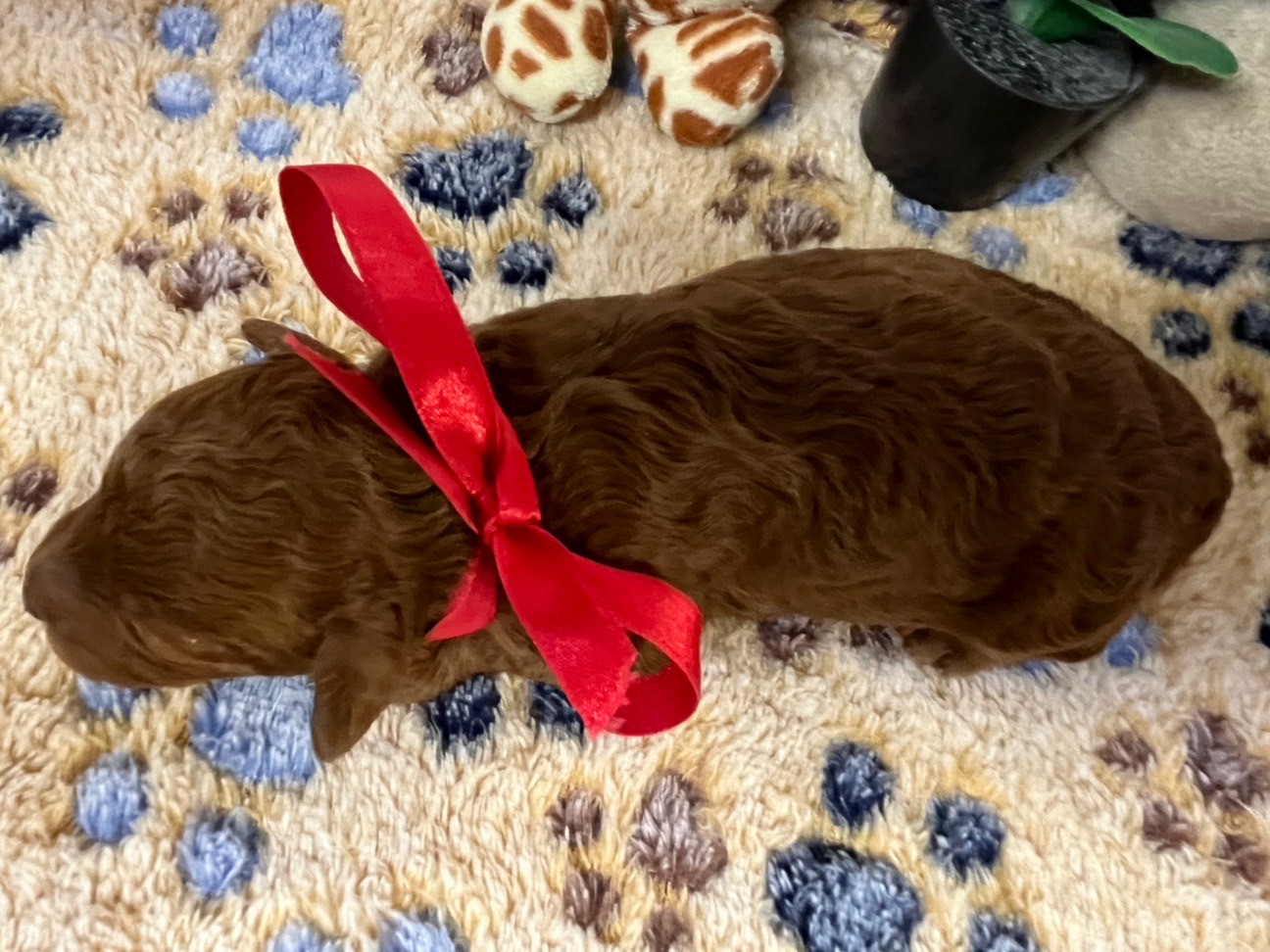 赤ちゃん写真1-3