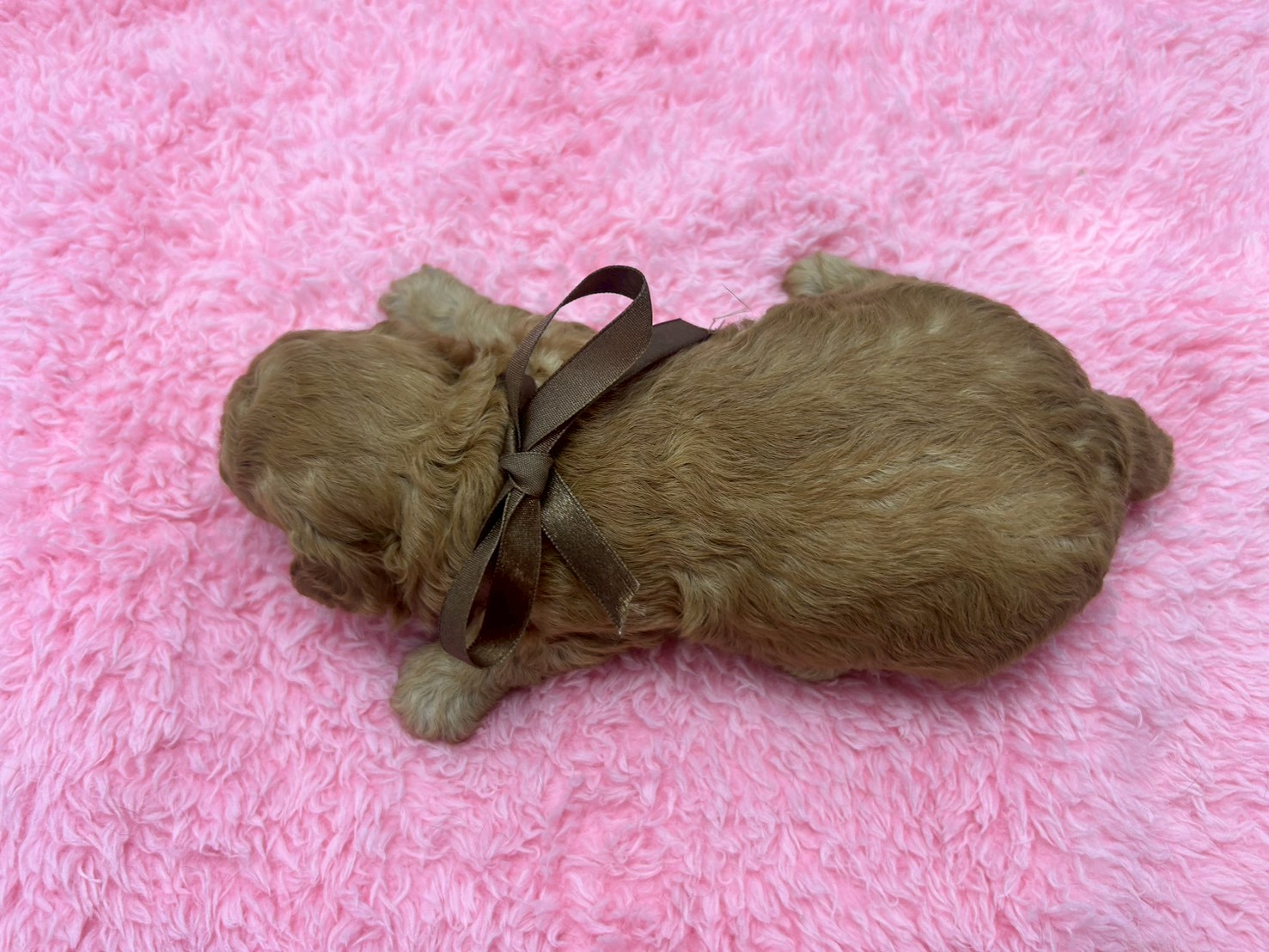 赤ちゃん写真2-3
