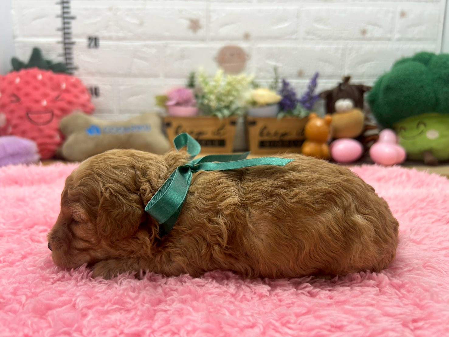 赤ちゃん写真2-2
