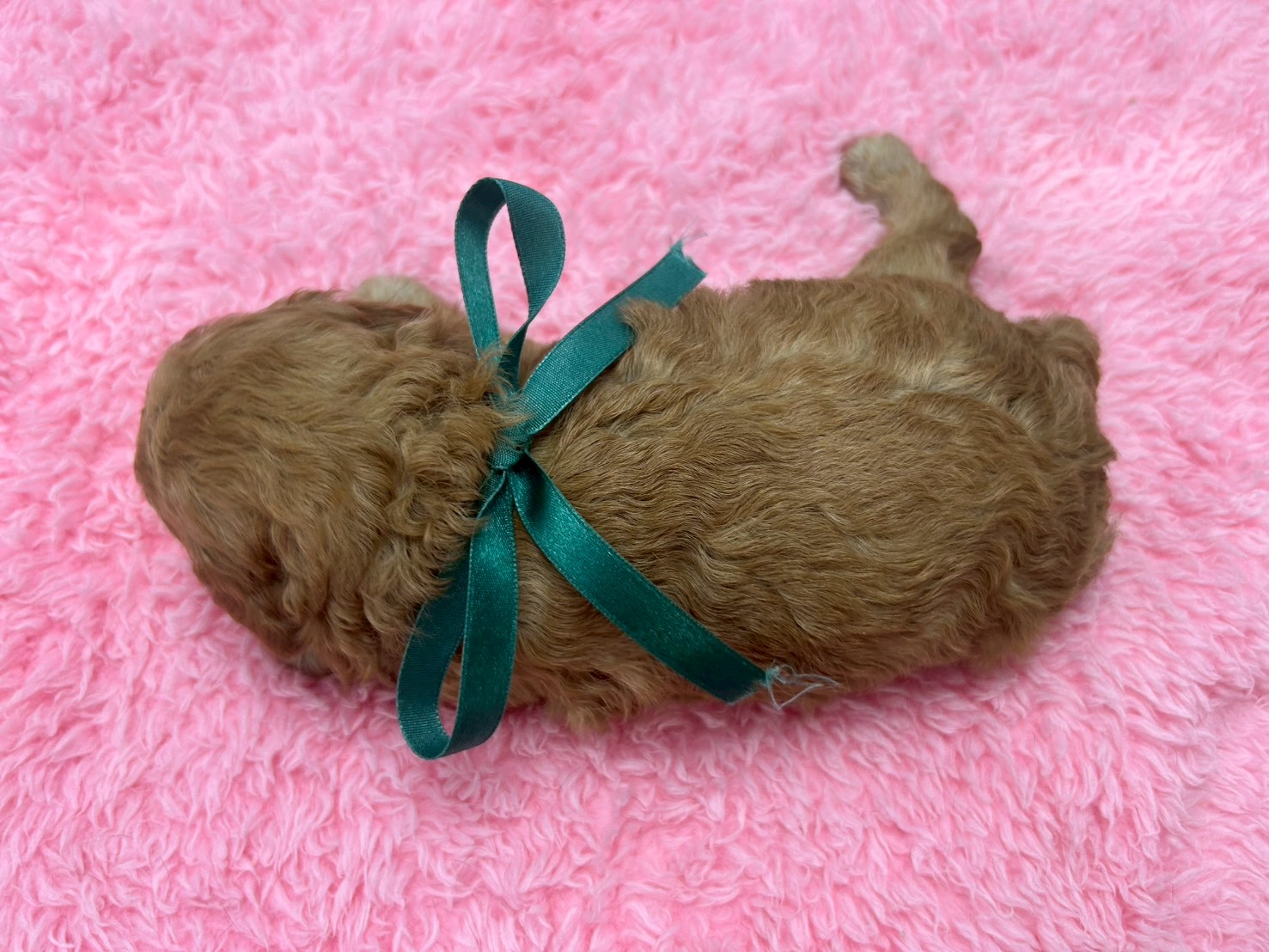 赤ちゃん写真2-3