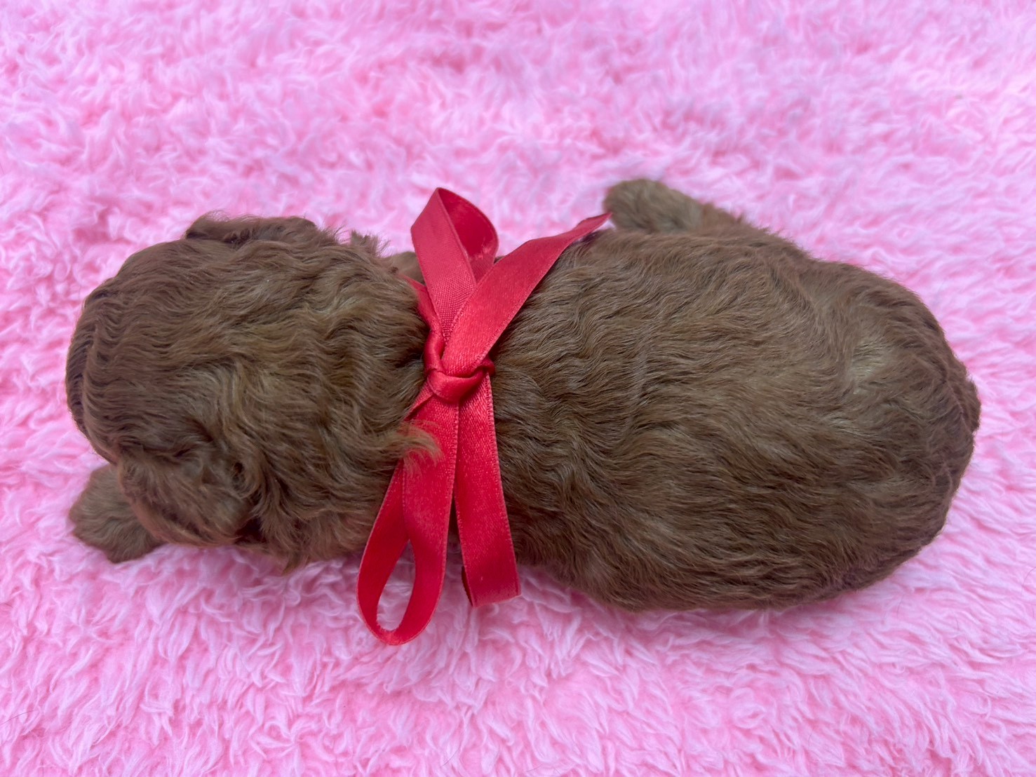 赤ちゃん写真2-3