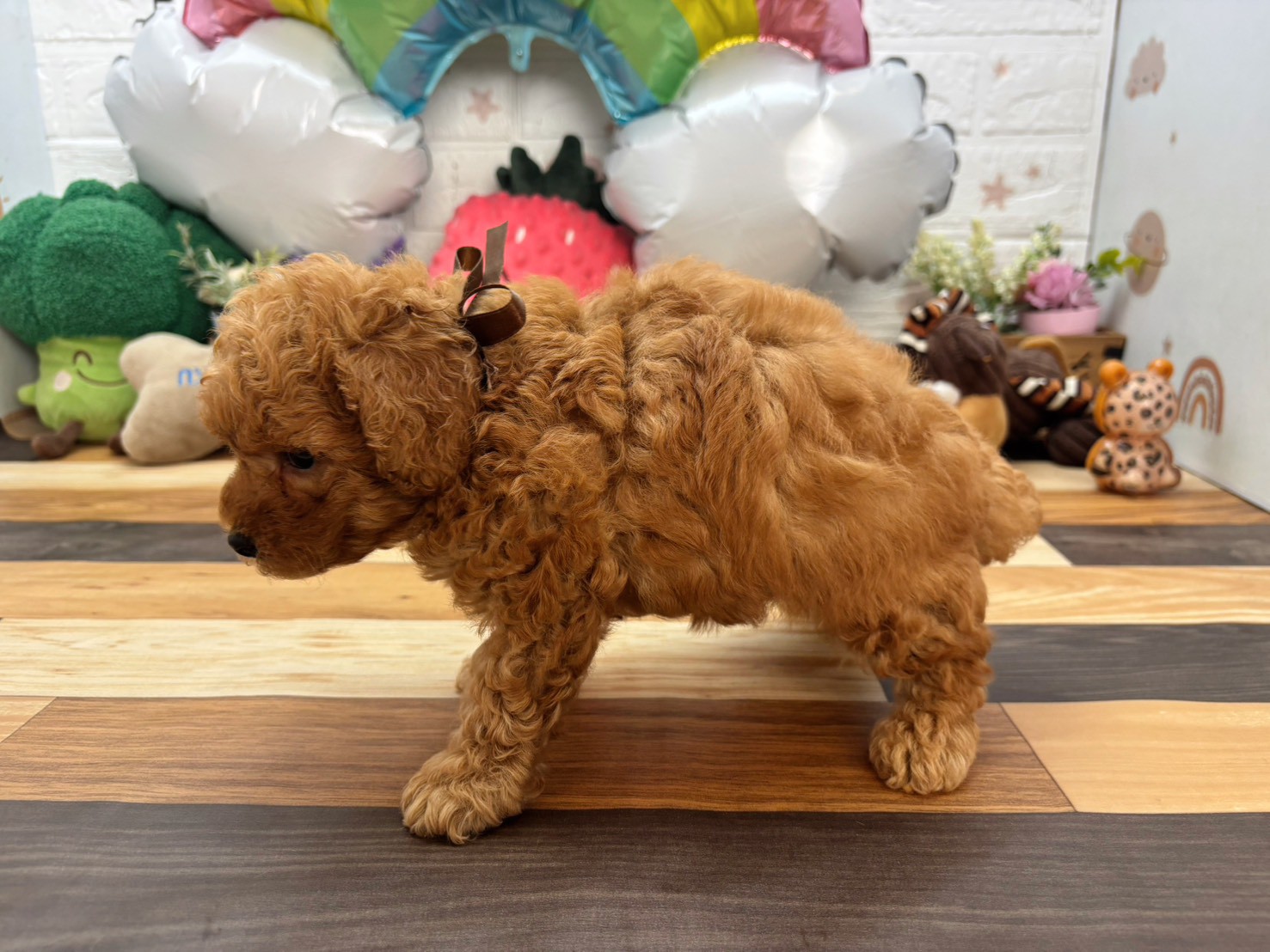 赤ちゃん写真3-2