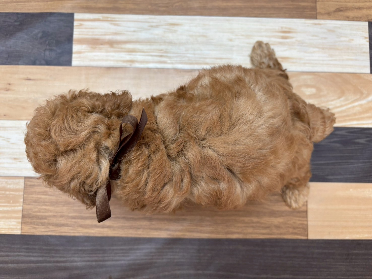 赤ちゃん写真3-3