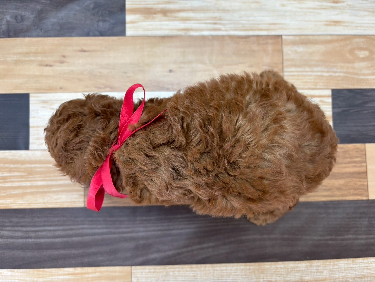 赤ちゃん写真3-3