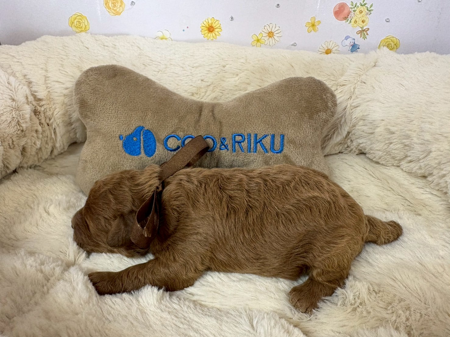 赤ちゃん写真1-2