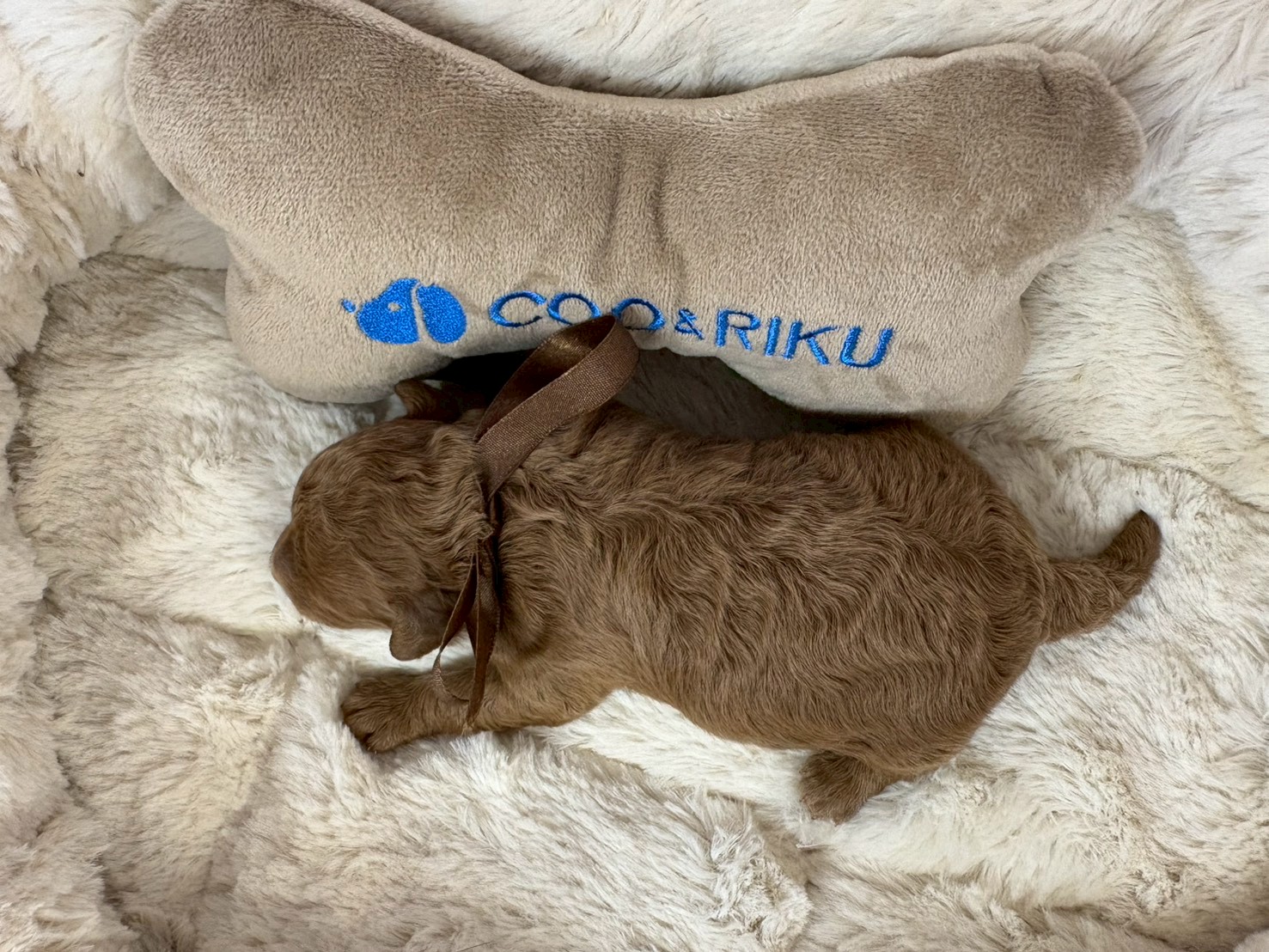 赤ちゃん写真1-3