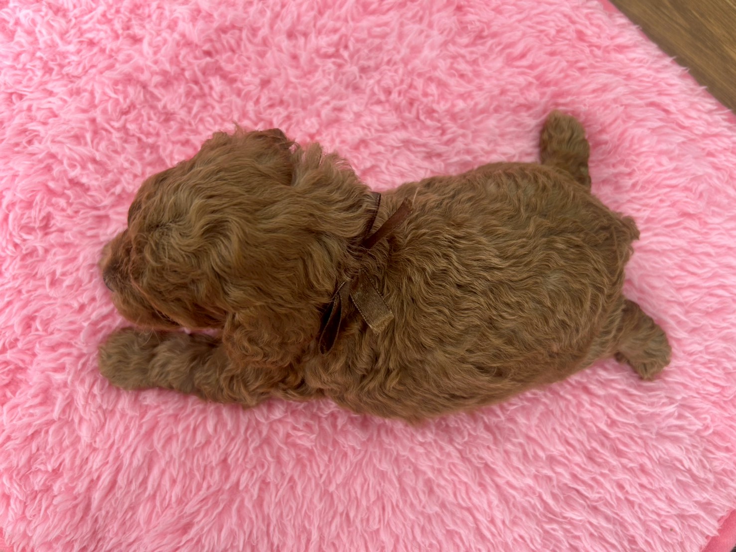 赤ちゃん写真2-3