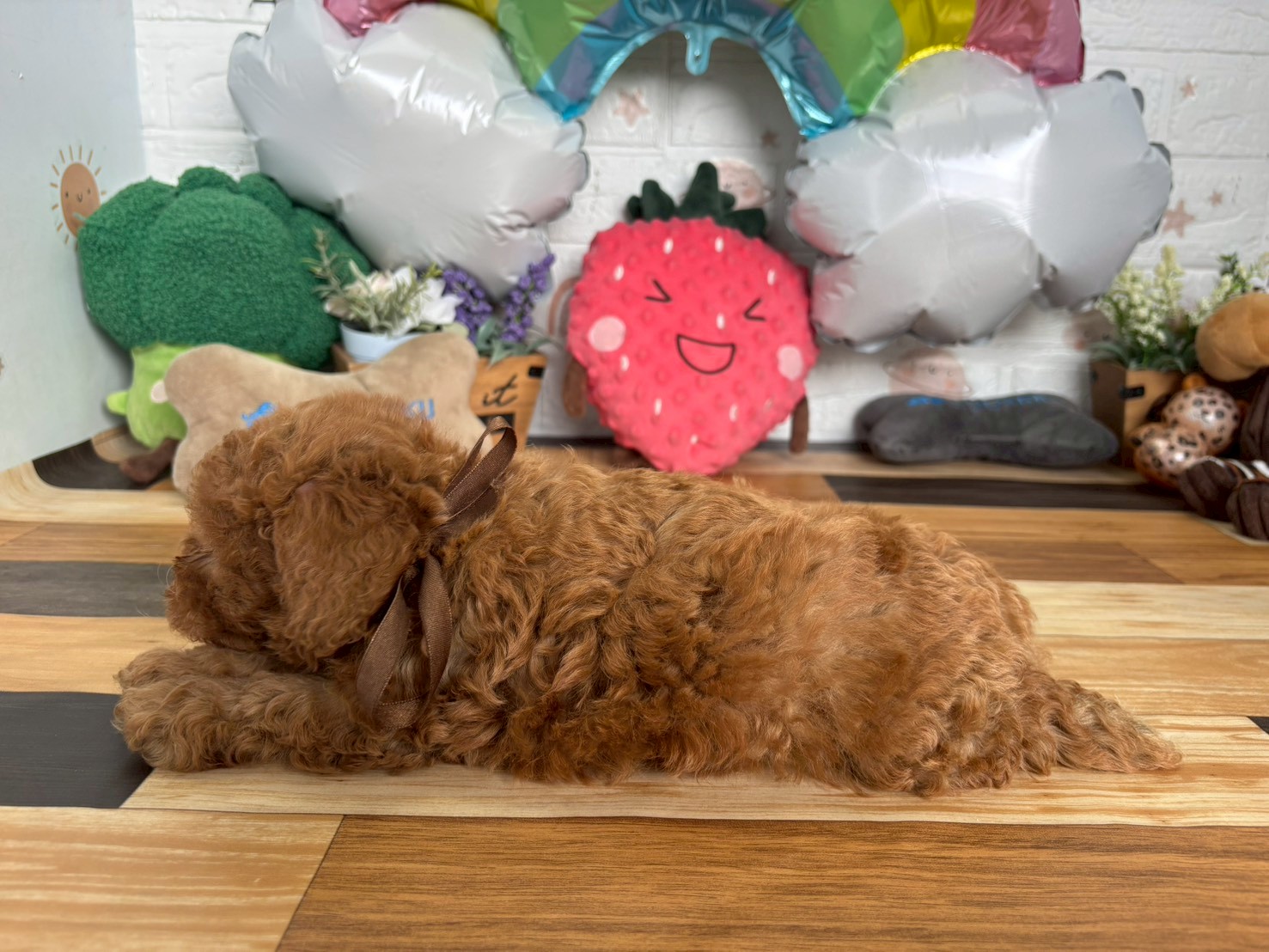 赤ちゃん写真3-2