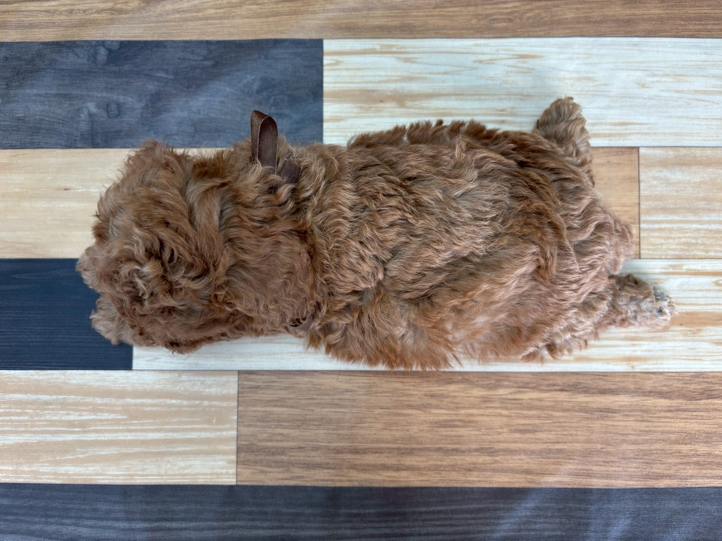 赤ちゃん写真3-3