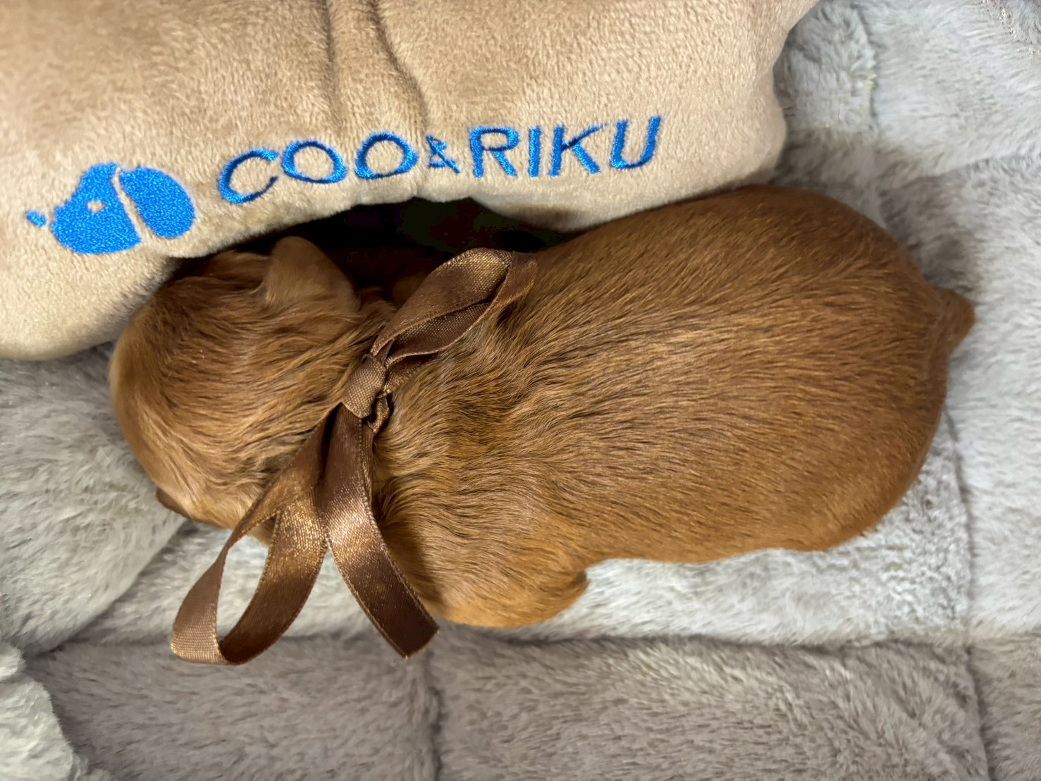 赤ちゃん写真1-3