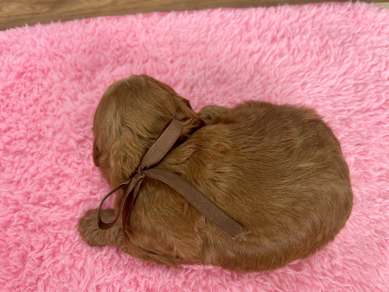 赤ちゃん写真2-3