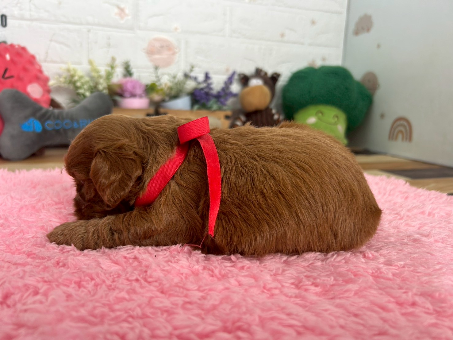 赤ちゃん写真2-2