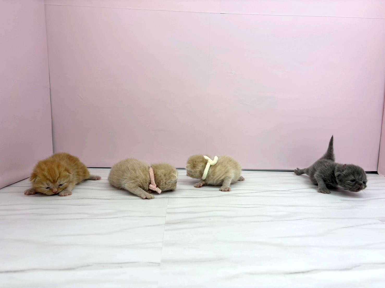 赤ちゃん写真1-3