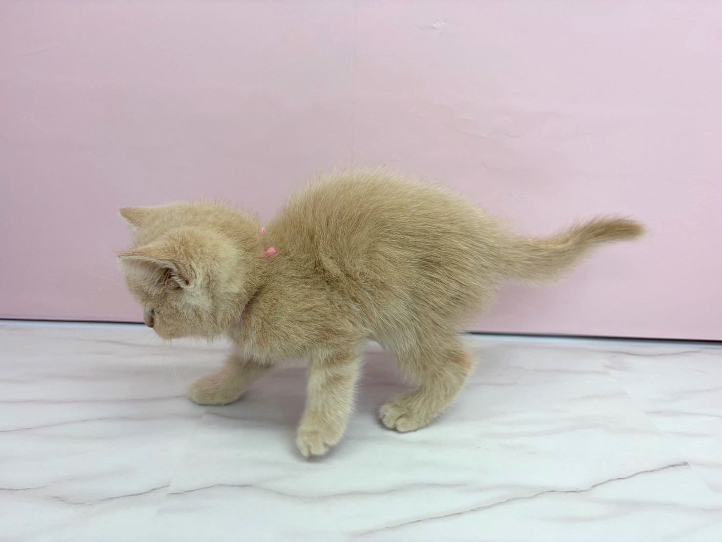 赤ちゃん写真2-2