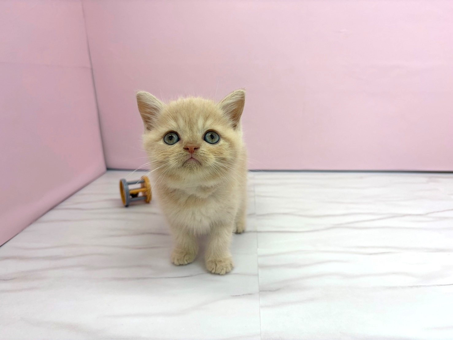 赤ちゃん写真2-1