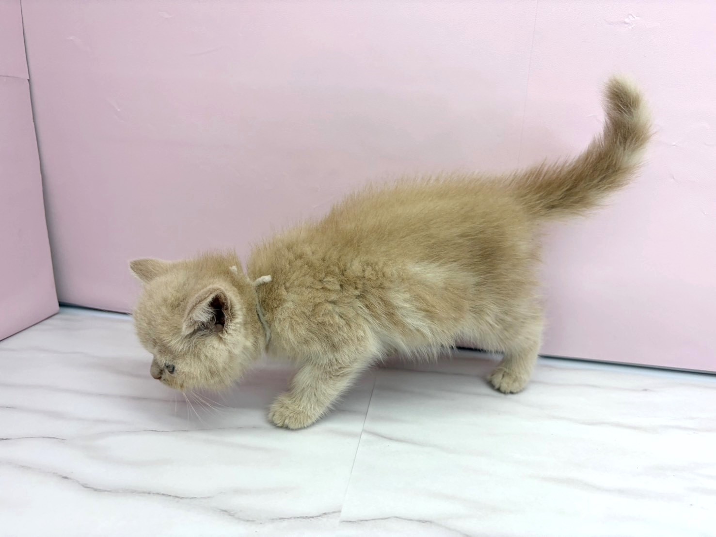 赤ちゃん写真2-2