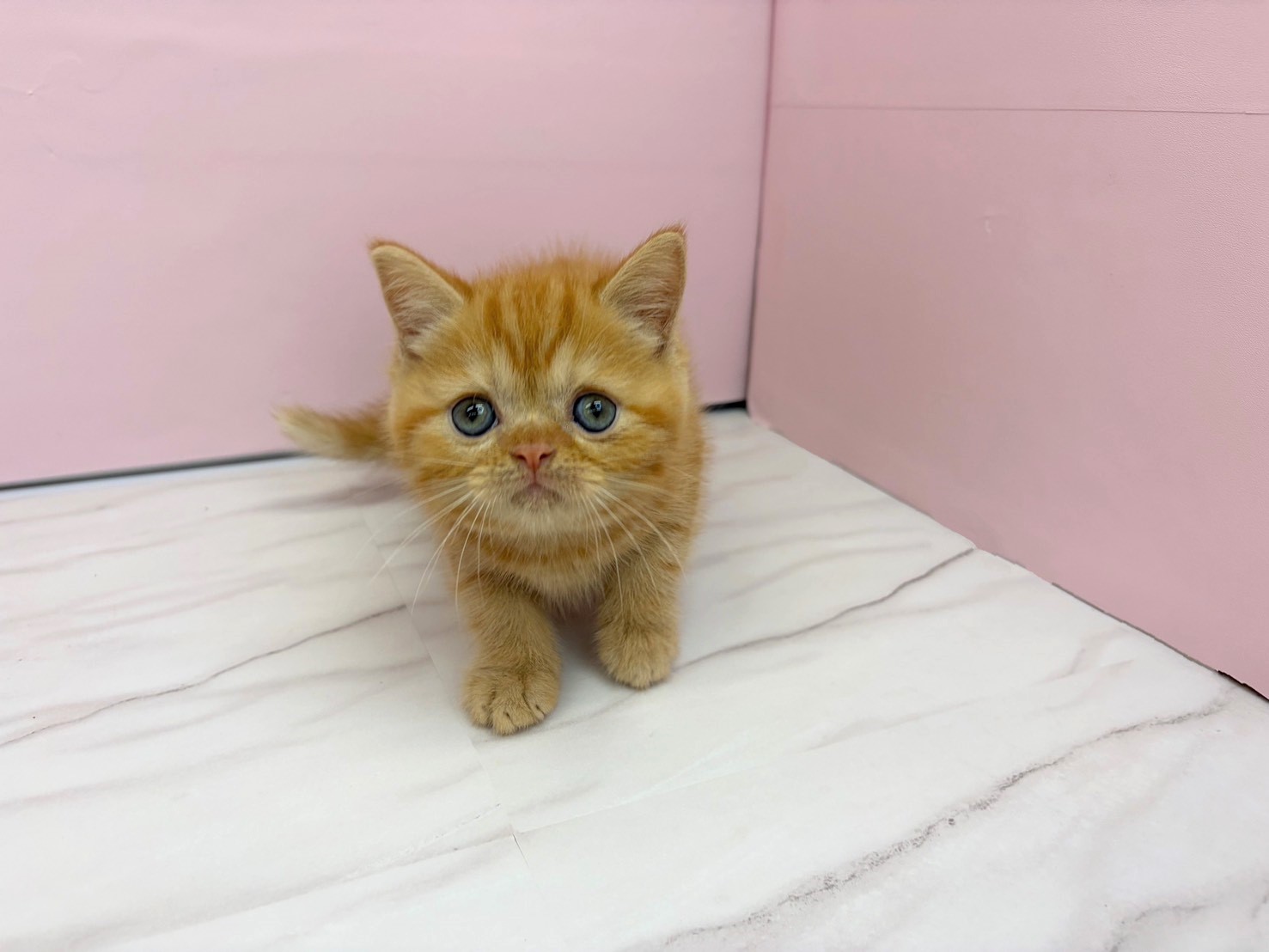 赤ちゃん写真2-1