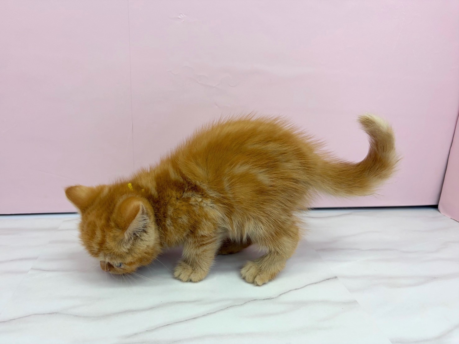 赤ちゃん写真2-2