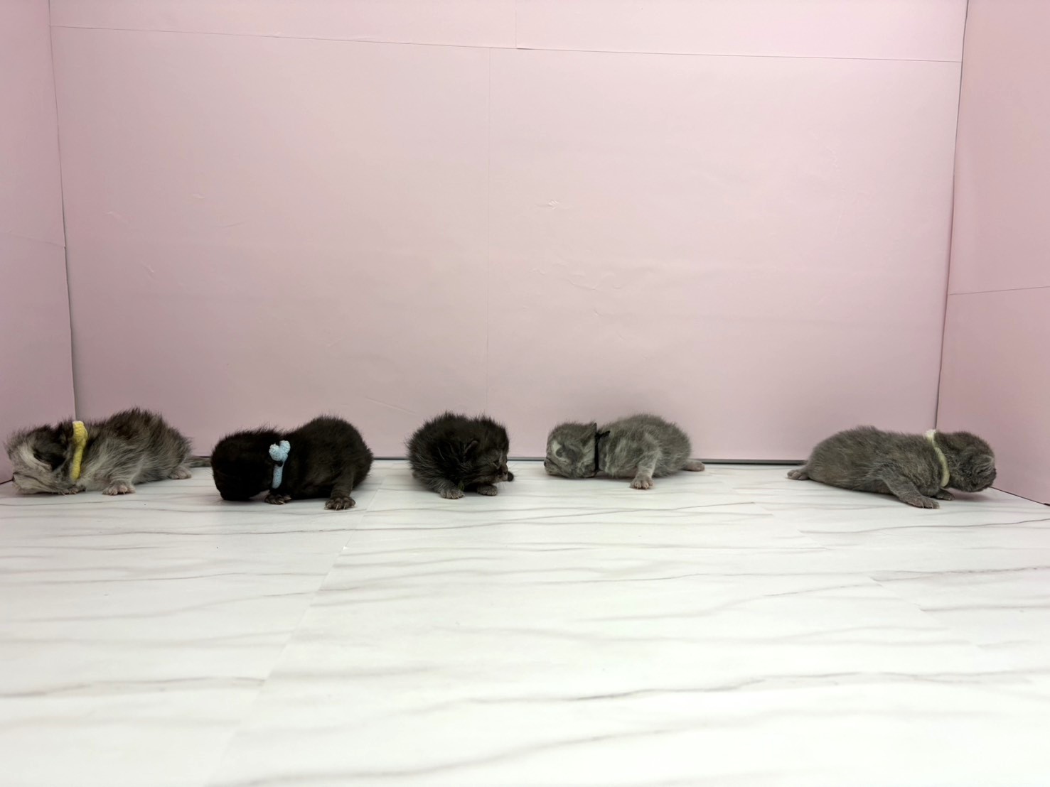 赤ちゃん写真1-3
