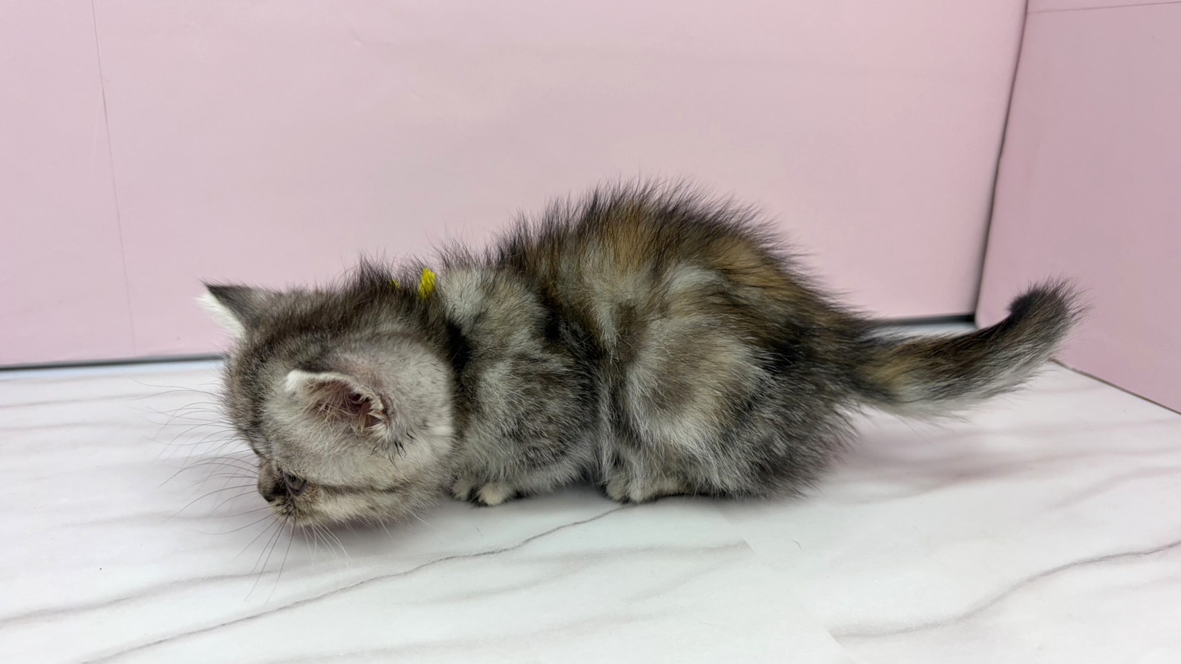 赤ちゃん写真2-2