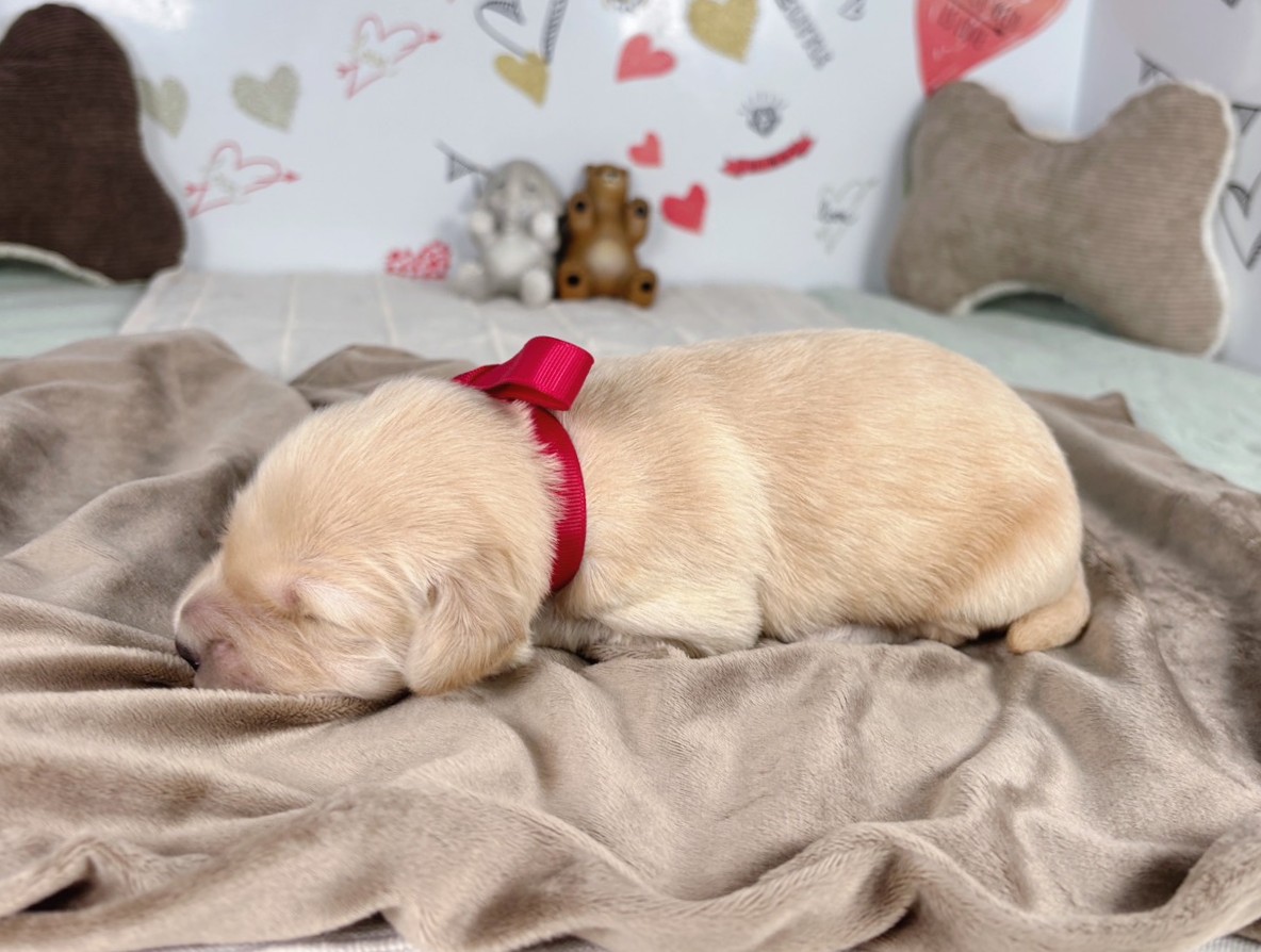赤ちゃん写真1-2