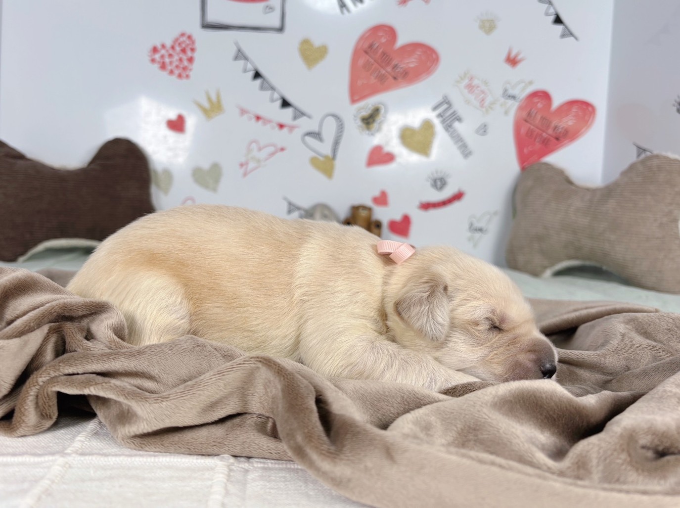 赤ちゃん写真1-2