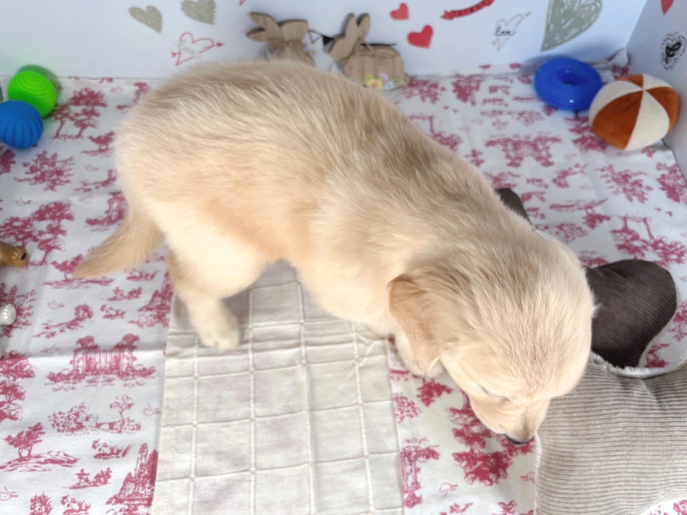 赤ちゃん写真3-3