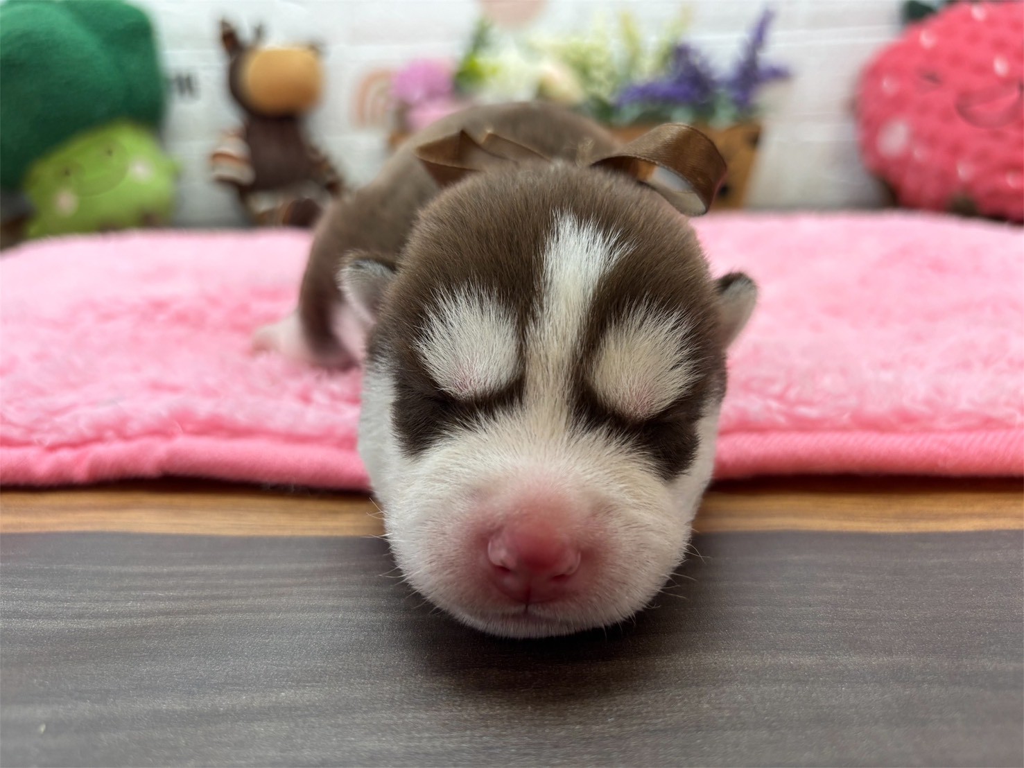 赤ちゃん写真1-1