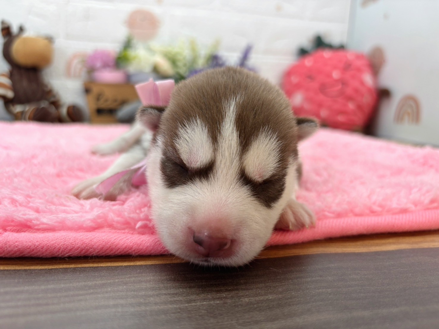 赤ちゃん写真1-1