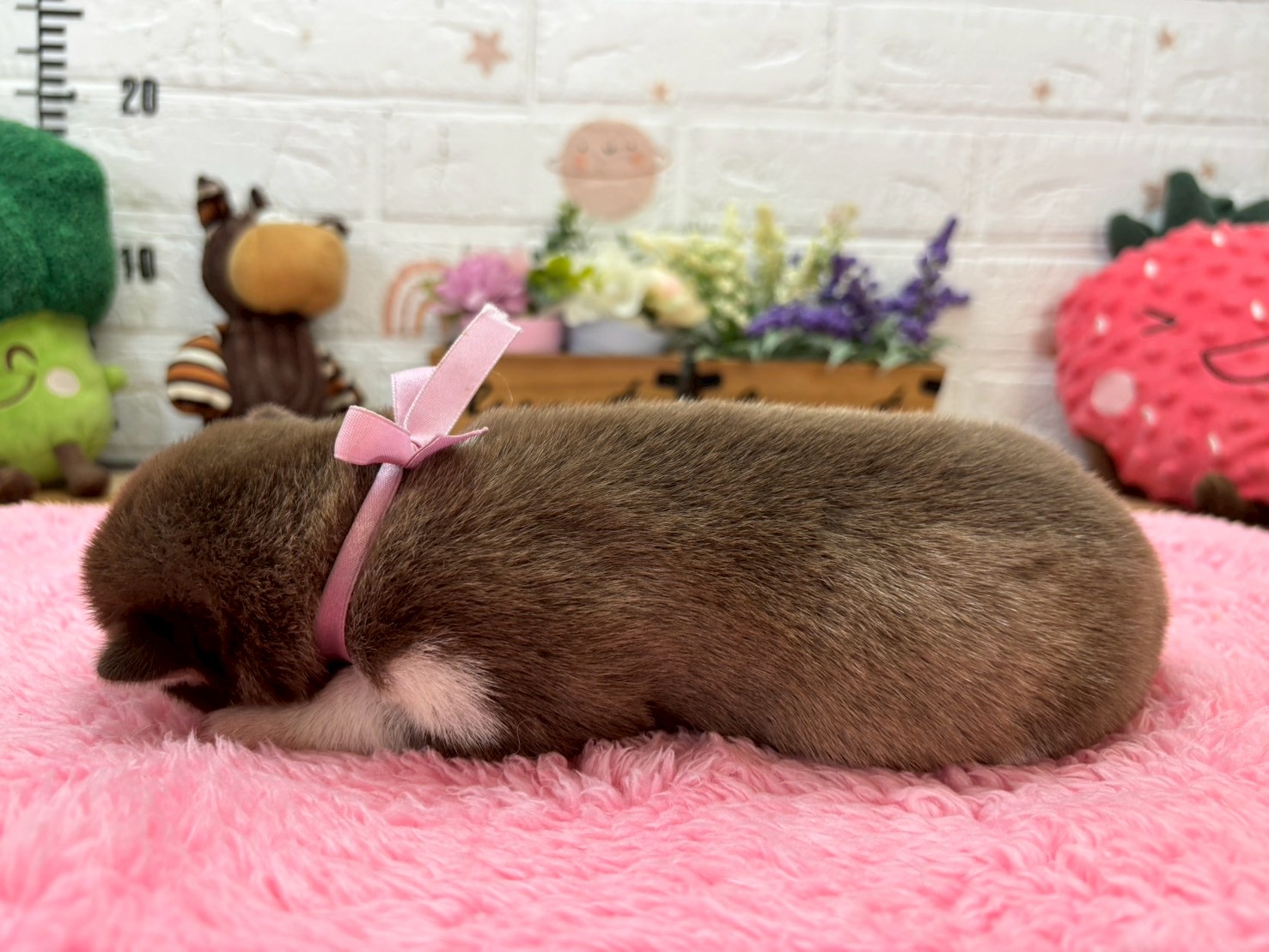赤ちゃん写真1-2