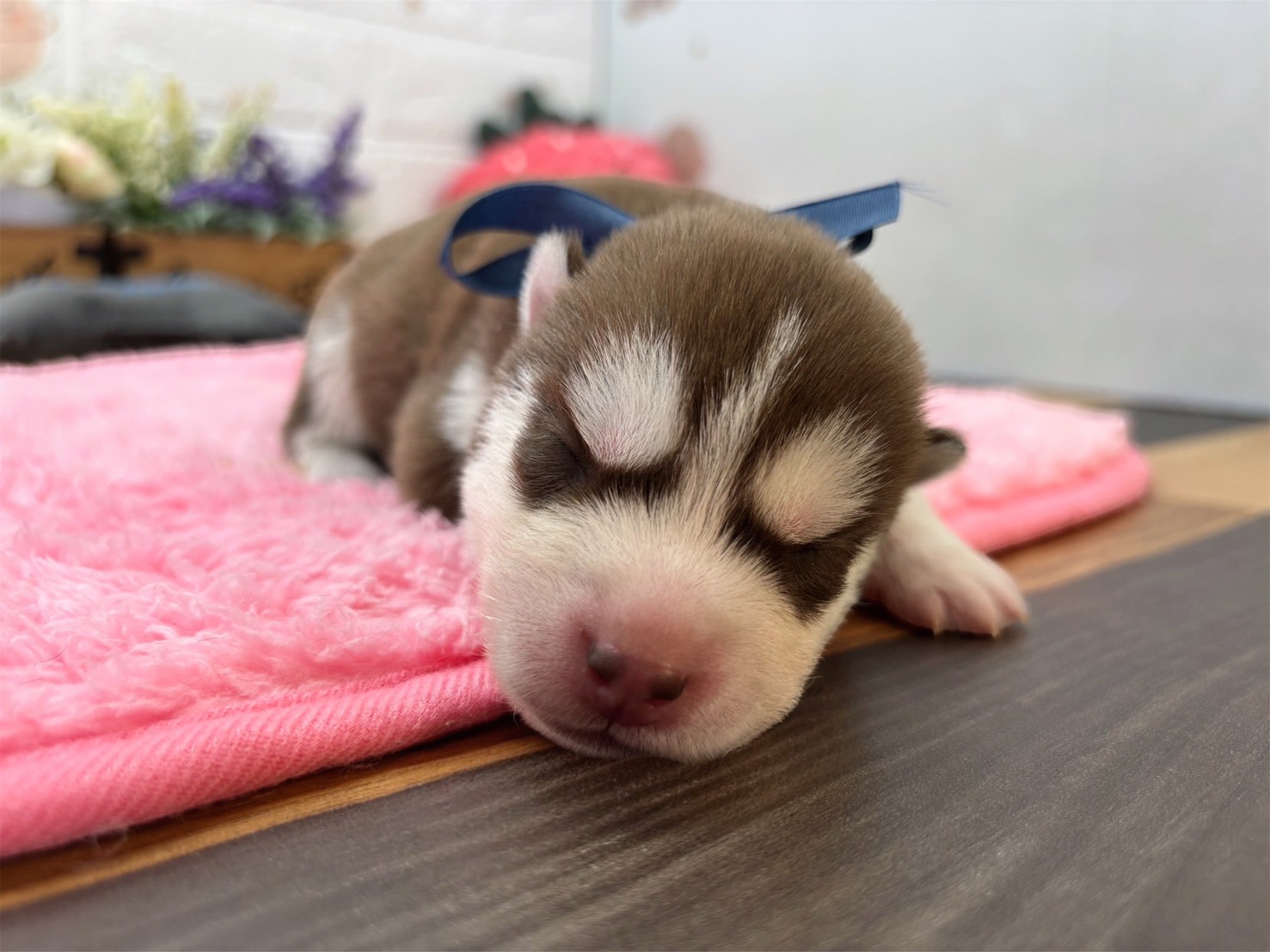 赤ちゃん写真1-1