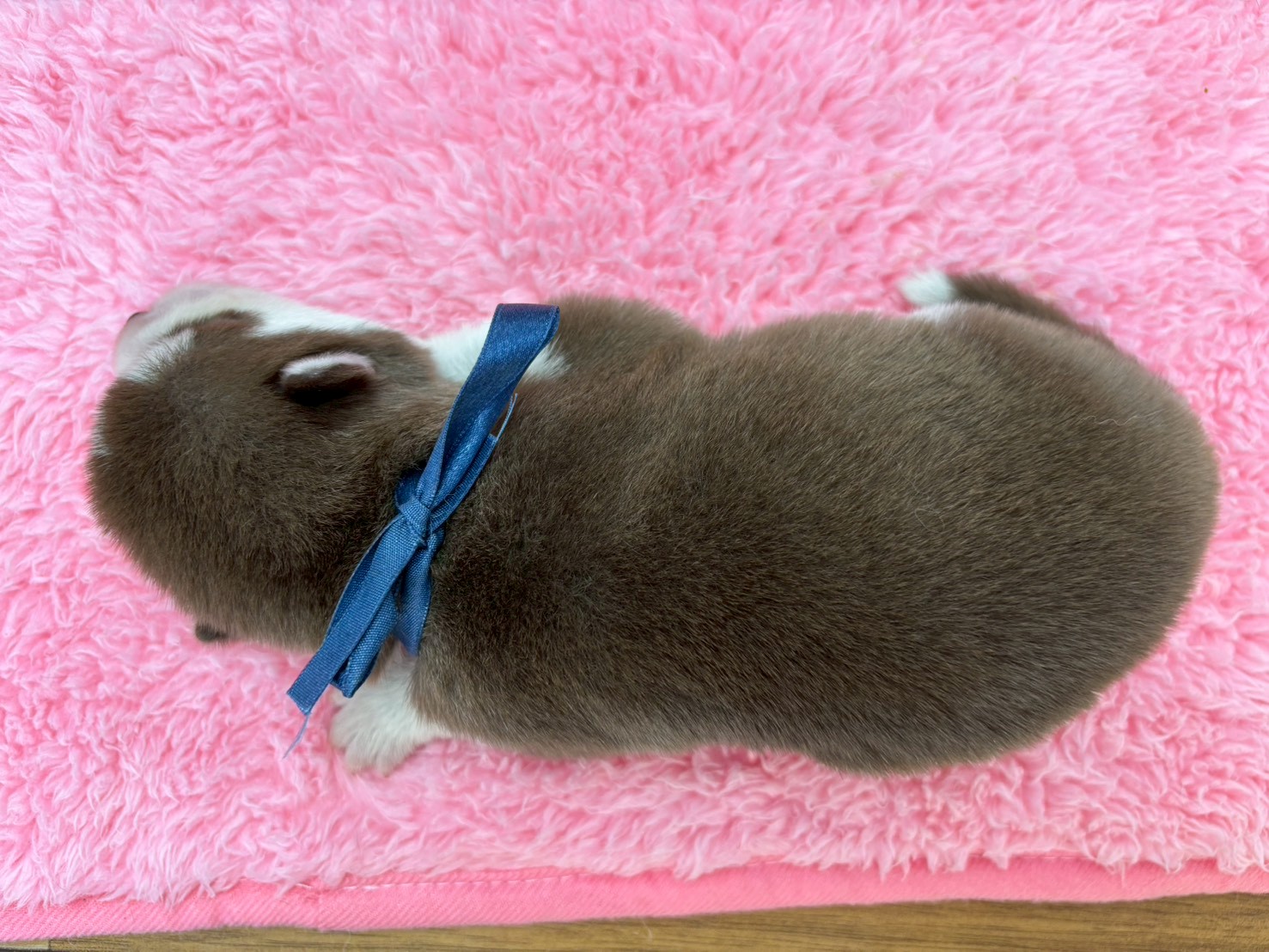 赤ちゃん写真1-3
