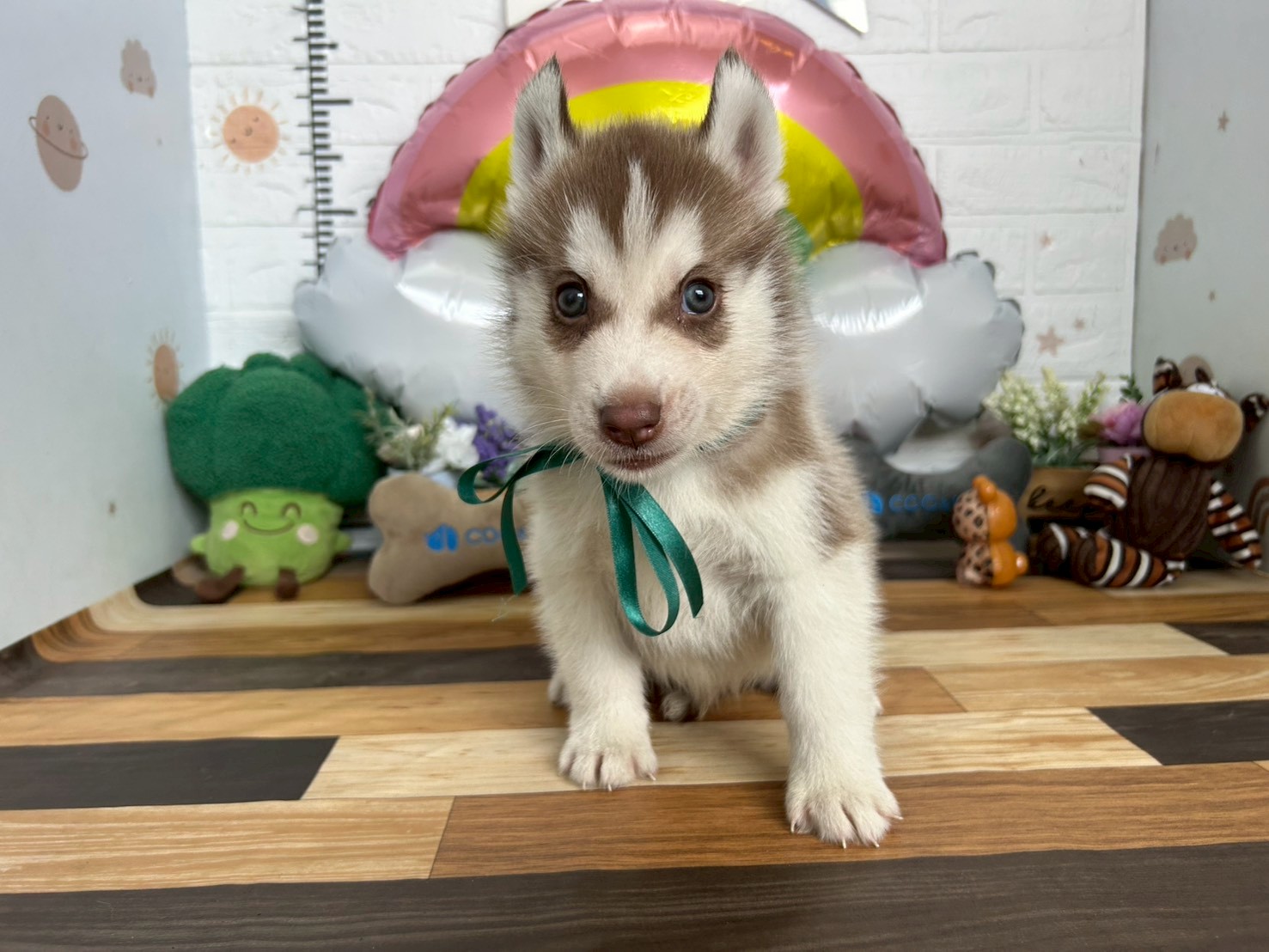 赤ちゃん写真3-1