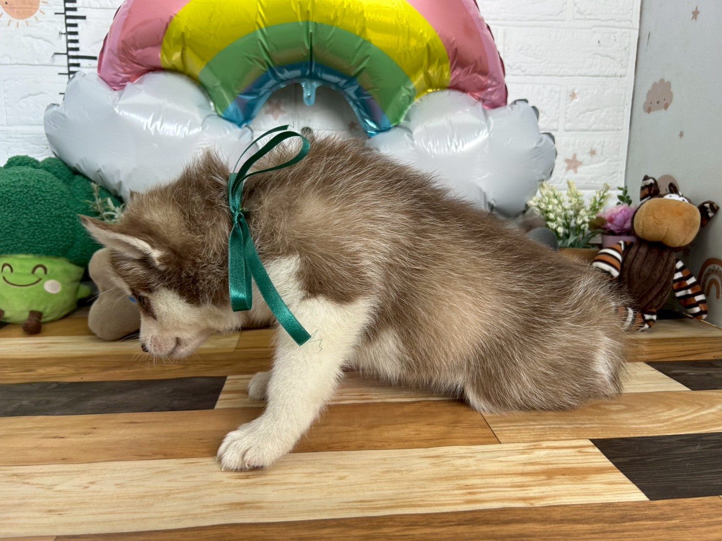 赤ちゃん写真3-2