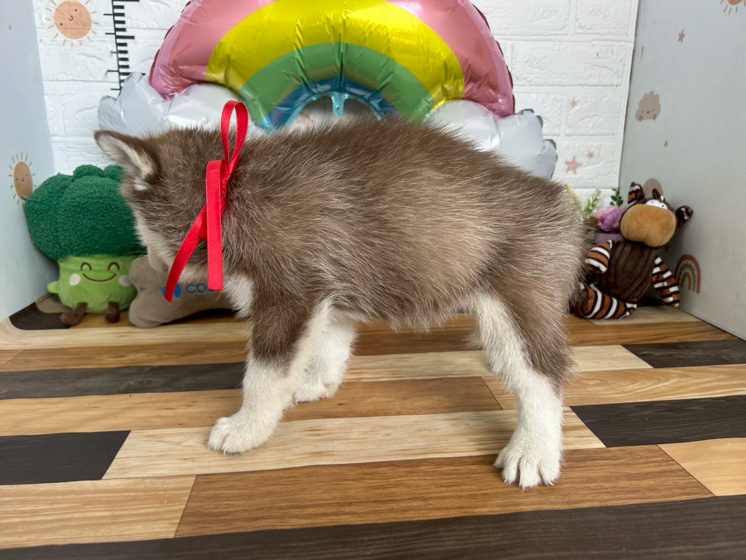赤ちゃん写真3-2