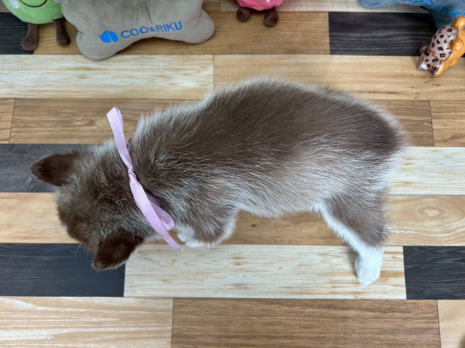 赤ちゃん写真3-3