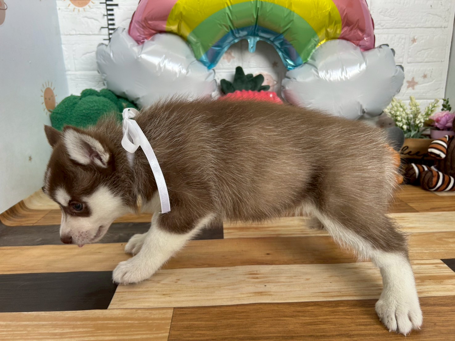 赤ちゃん写真3-2