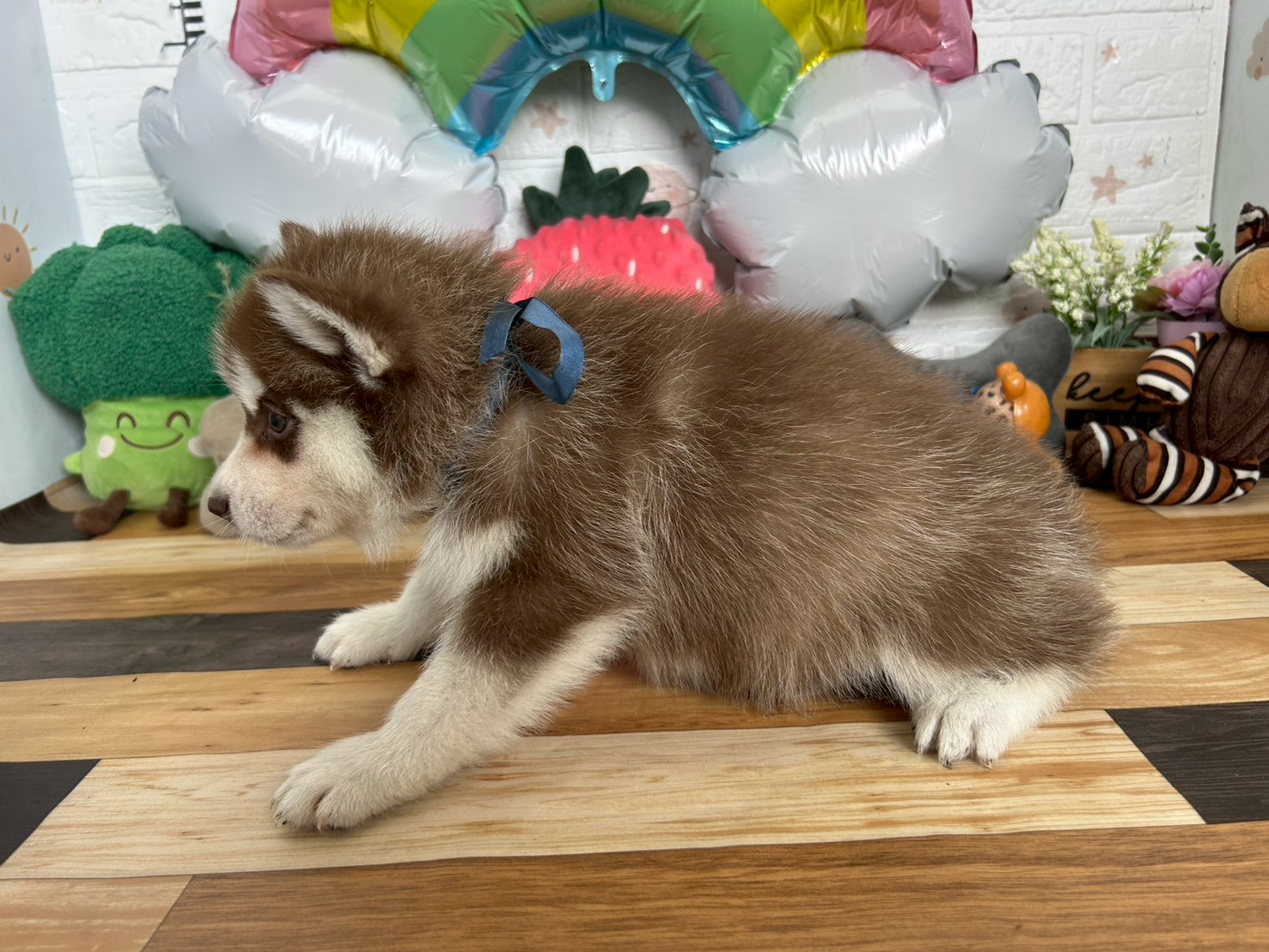 赤ちゃん写真3-2
