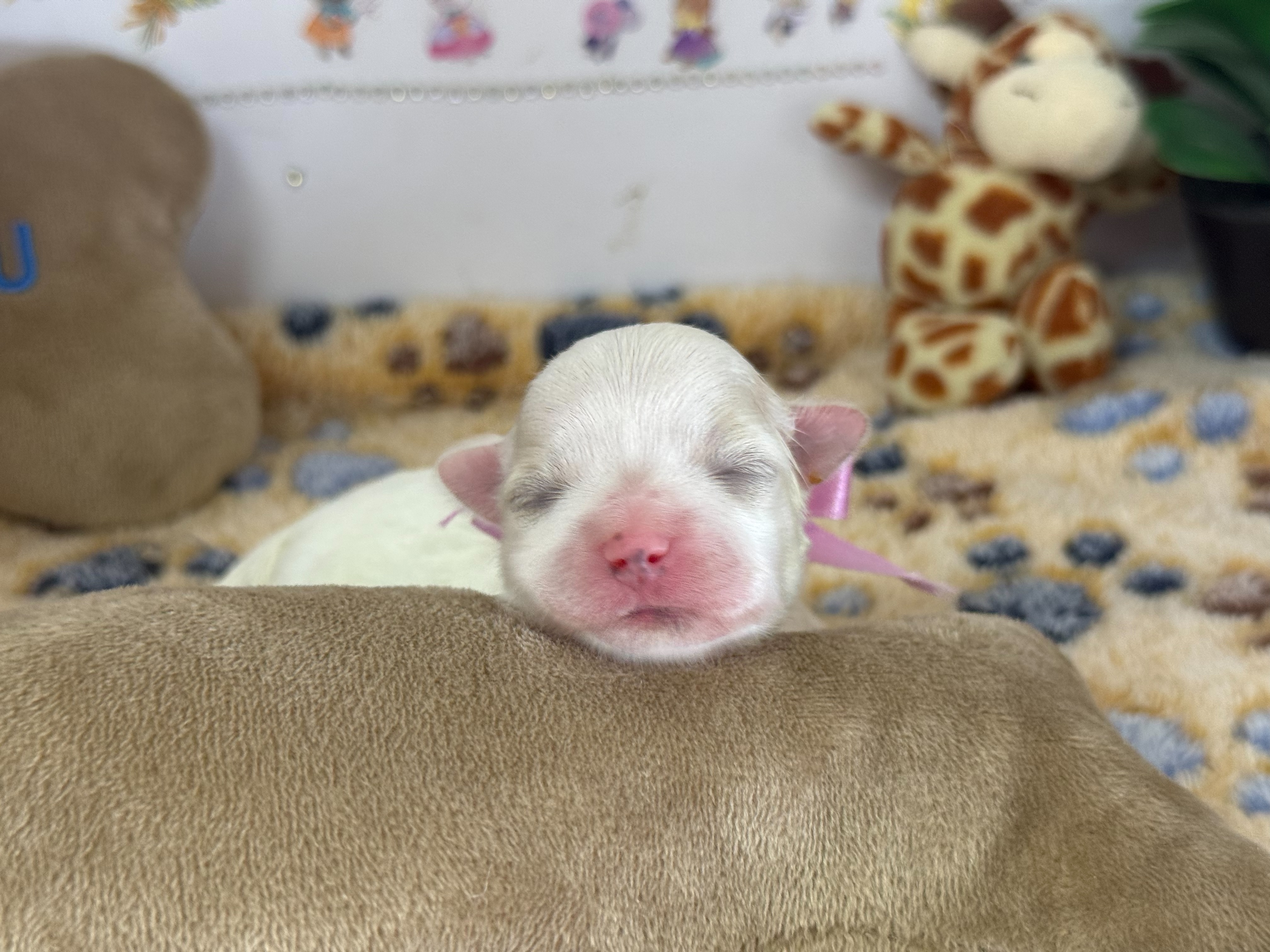 赤ちゃん写真1-1