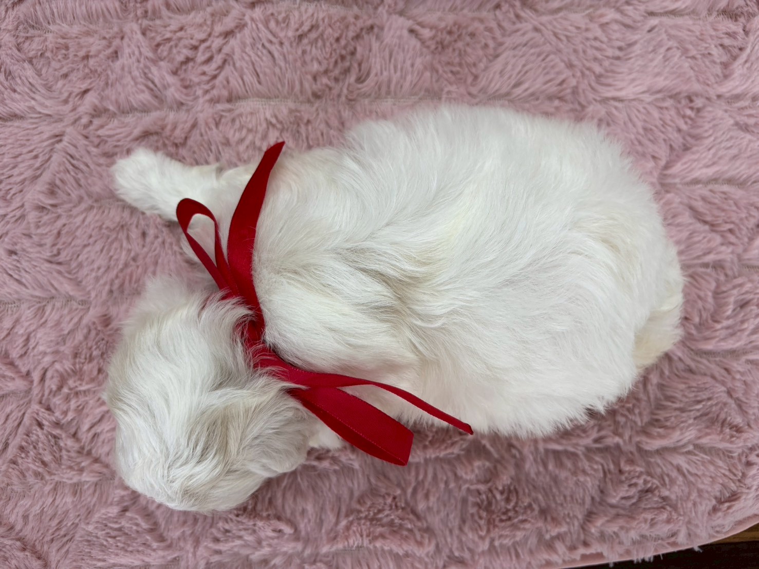 赤ちゃん写真2-3