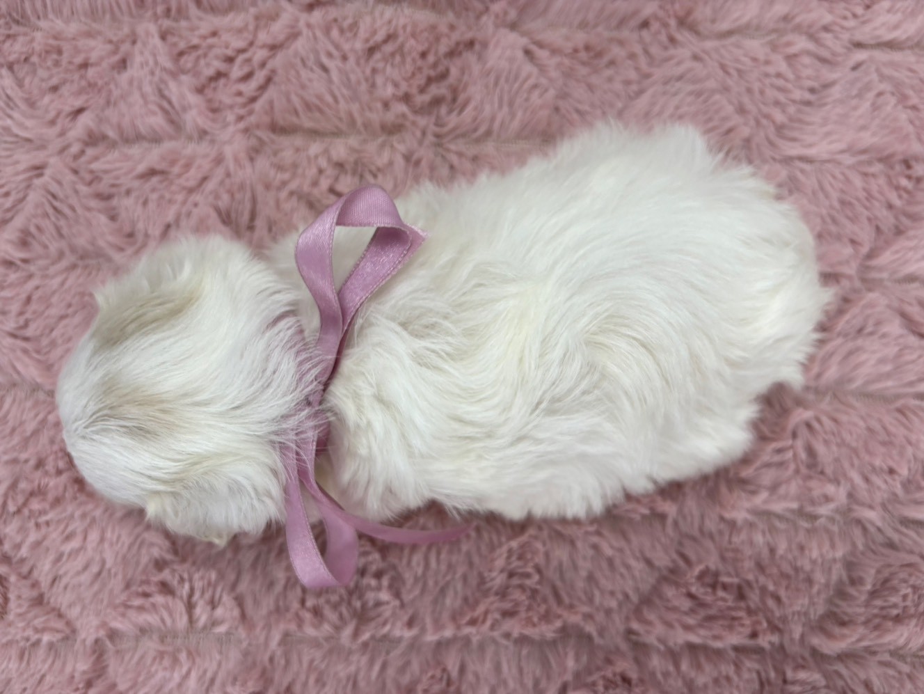 赤ちゃん写真2-3